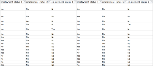 Figure 5: employment_status stored as binary columns